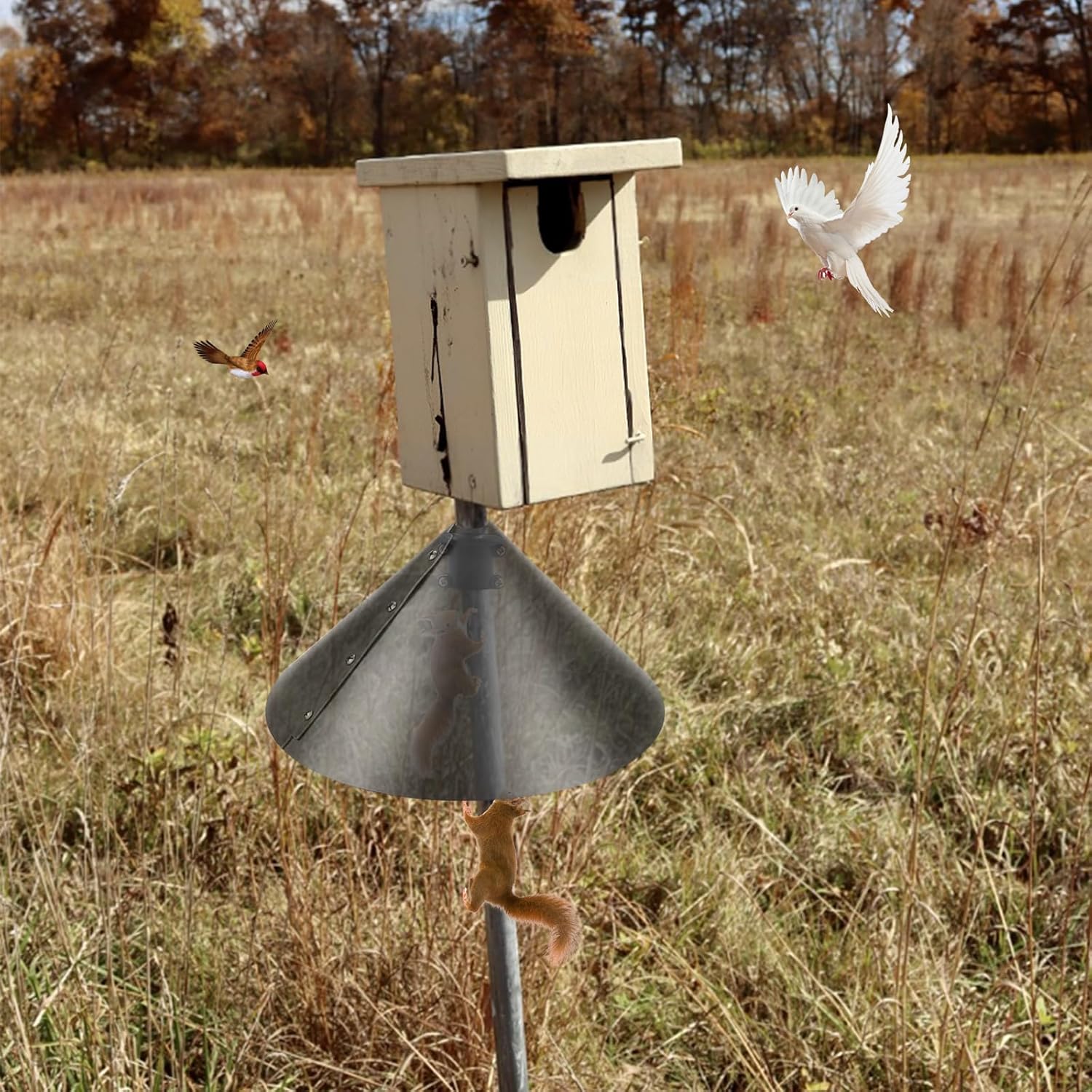 Squirrel Baffle Accessory for Bird Feeder Pole, Pole Mounted Stopper for Birdhouse L399360