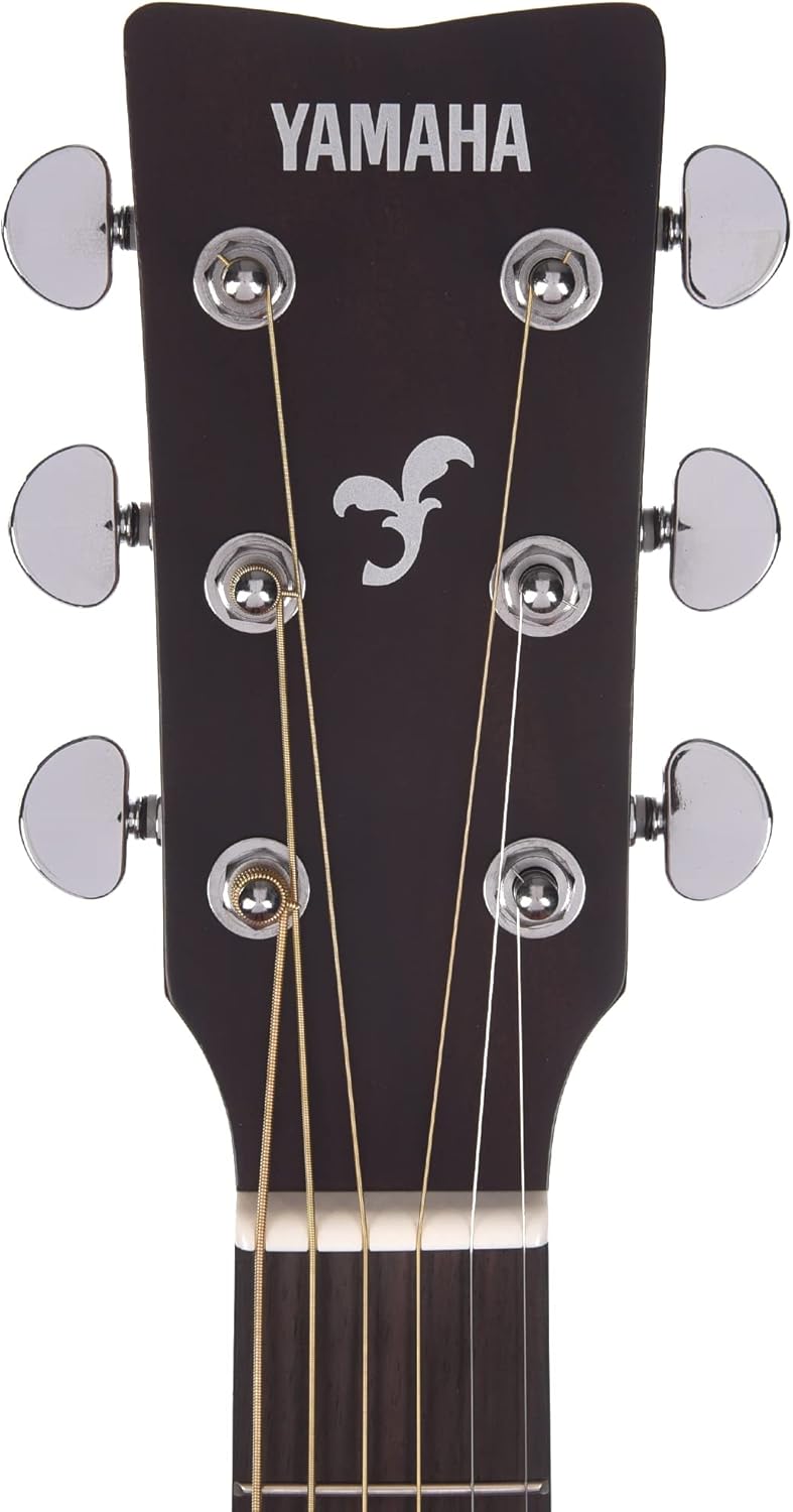 Acoustic Dreadnought Guitar Natural C480