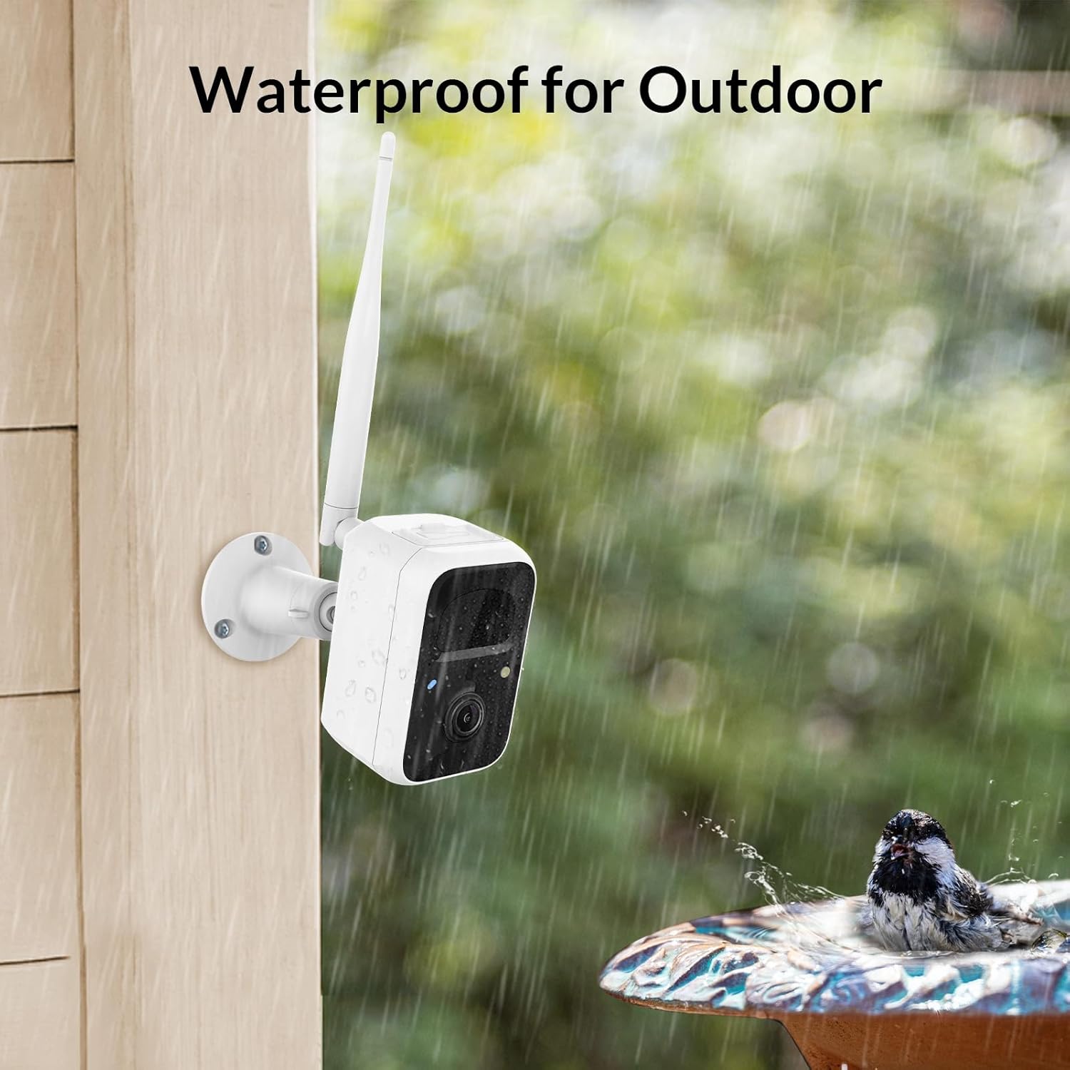 Smart Bird Feeder Camera with Auto Notify and WiFi V475