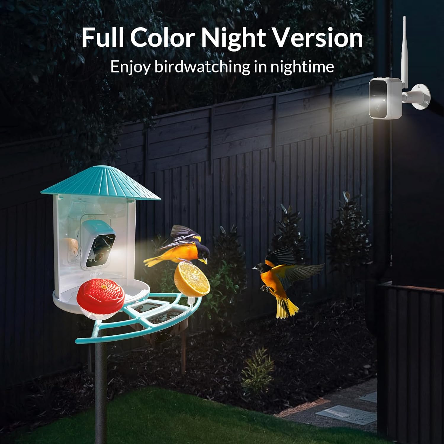 Smart Bird Feeder Camera with Auto Notify and WiFi V475