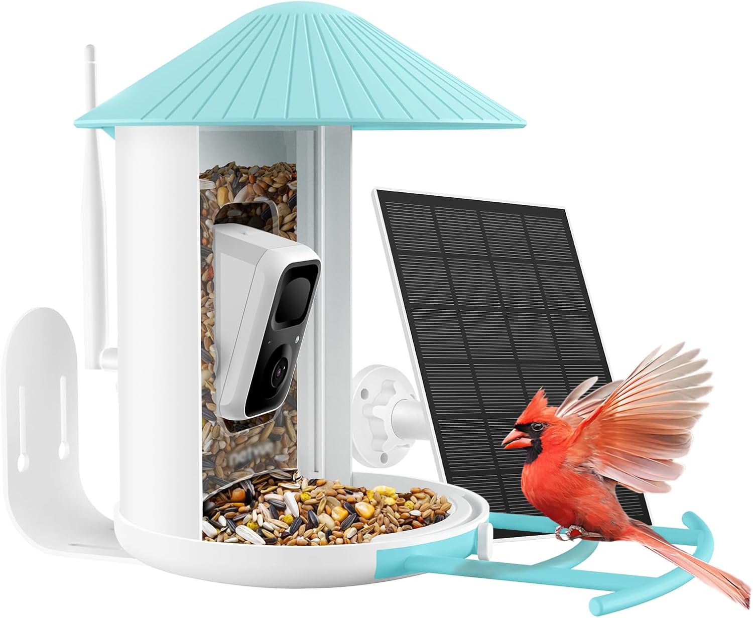 NETVUE Birdfy AI Smart Bird Feeder with Camera + Solar Panel