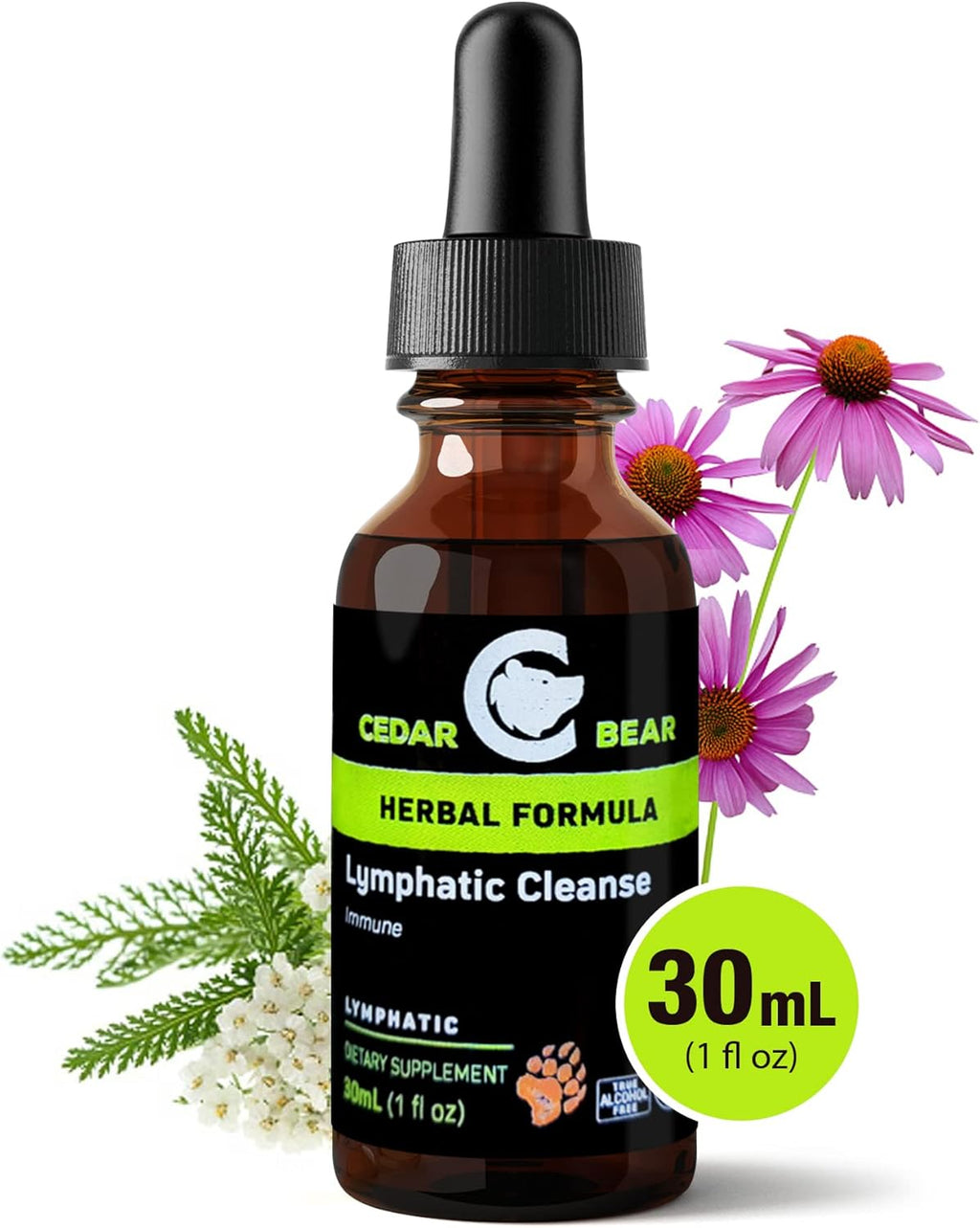 Lymphatic Cleanse Immune Support Drops, Alcohol-Free Liquid Herbal Supplement, 1 fl oz Q76644