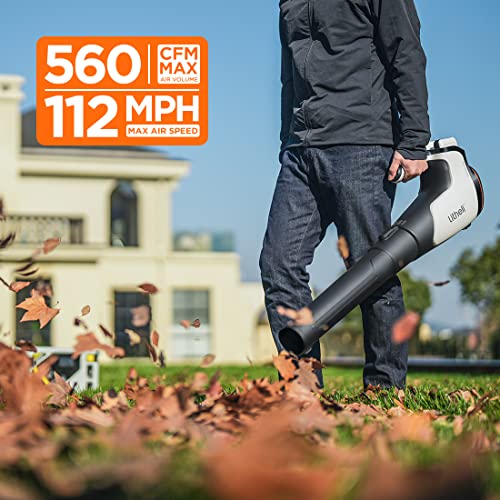 Cordless Leaf Blower with Battery and Charger D971896