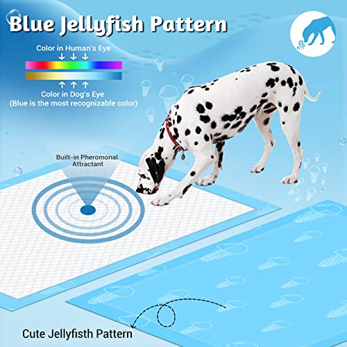 Disposable Dog Training Pads, Super Absorbent, Leak-Proof, 30 Count K346223