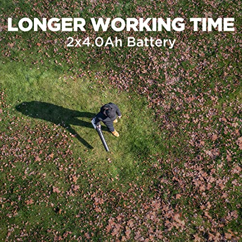 Cordless Leaf Blower with Battery and Charger D971896
