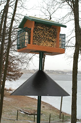 Squirrel Baffle 18-Inch, Black C480