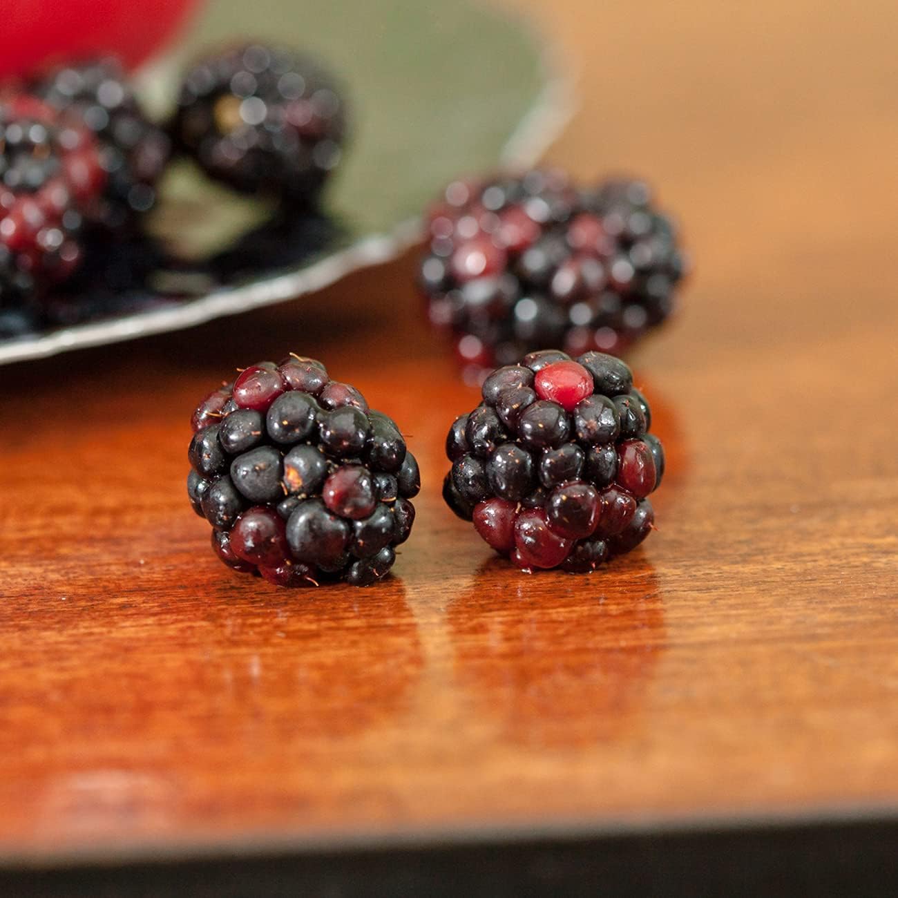 Thornless BlackBerry Bush, 1 Gal. Pot F91583