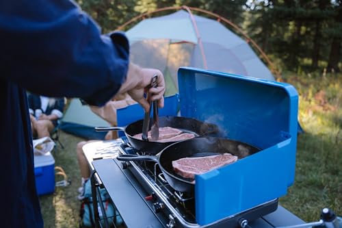 Portable 2-Burner Propane Camping Stove P70525
