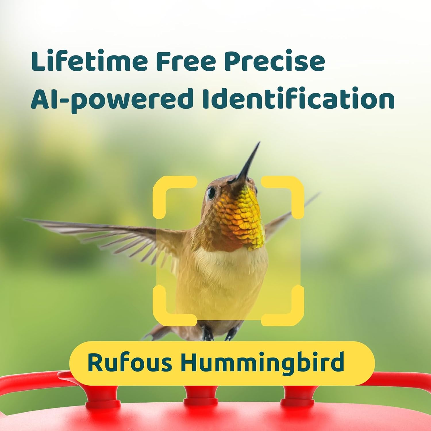 Hummingbird Feeder with Camera, 2K Dual Smart Cameras, Solar Powered N76083