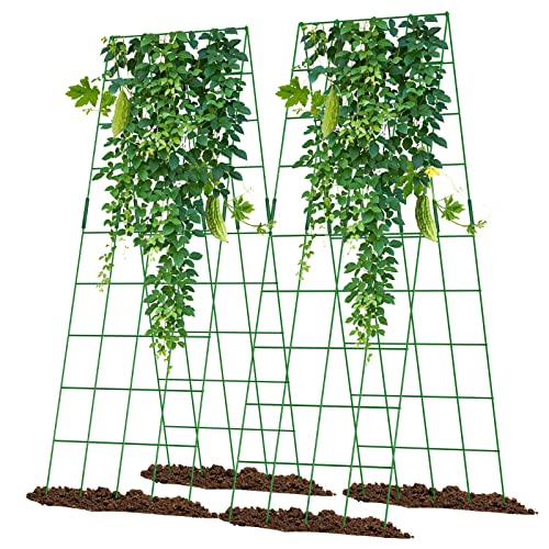 Cucumber Trellis Garden Trellis for Climbing Plants, A-Frame Garden Trellis for Raised Garden Grow Support for Cucumber,Tomato, Climbing Plants and Flowers