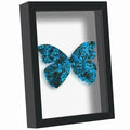 Picrit Shadow Box Frame 11x14, Display Case Box with High Definition Real Glass and Black Back for Memorabilia, Baby Items, Wedding Memories, Crafts, Tickets and Photos, Black