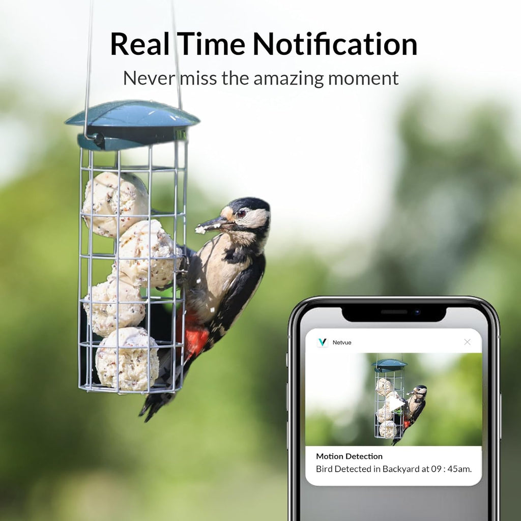 Smart Bird Feeder Camera with Auto Notify and WiFi V475