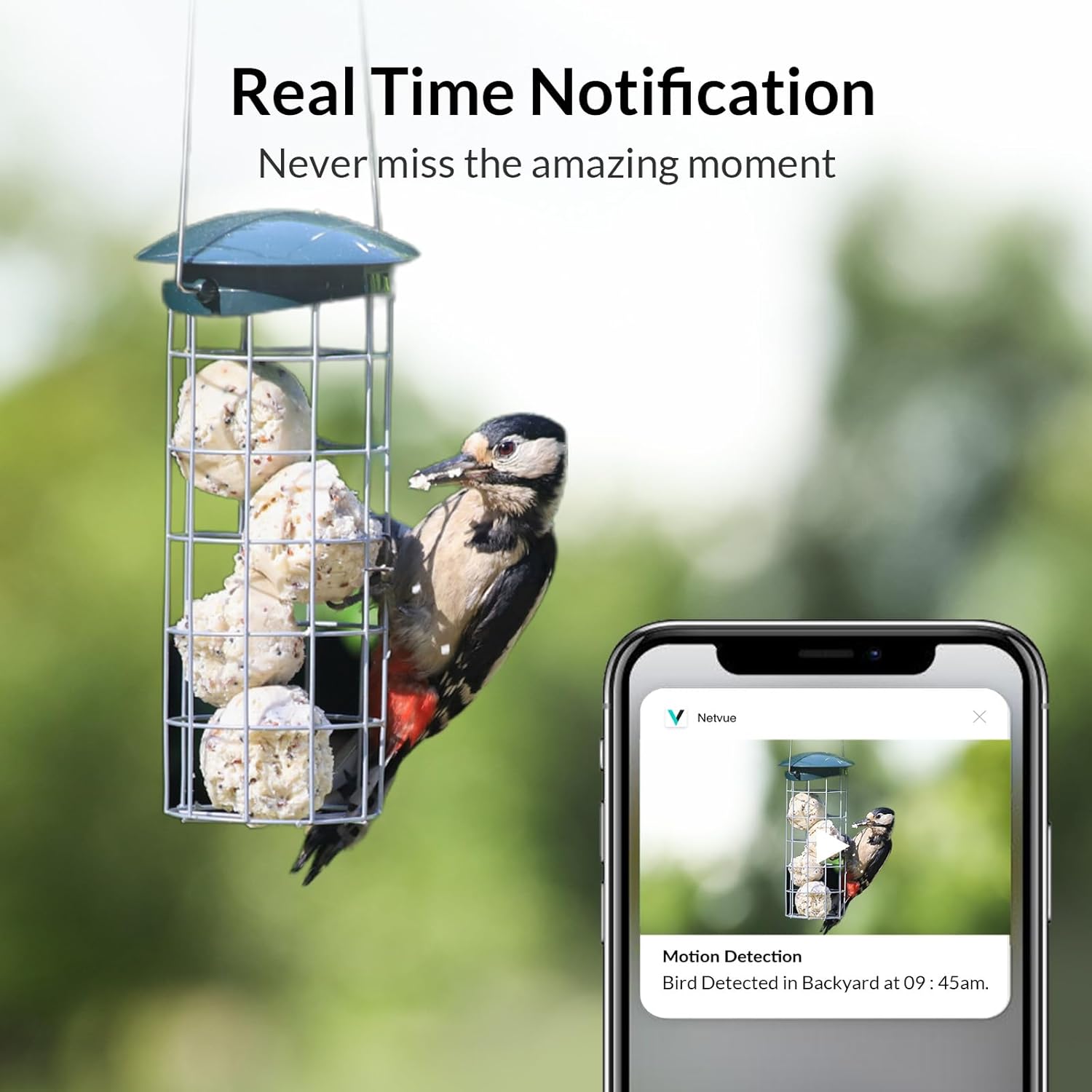 Smart Bird Feeder Camera with Auto Notify and WiFi V475