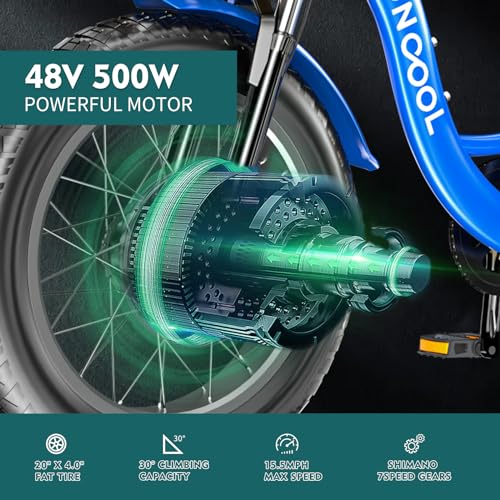 Adult Electric Tricycle, 20" Fat Tire, 500W Motor, 7-Speed, Removable Battery Q783