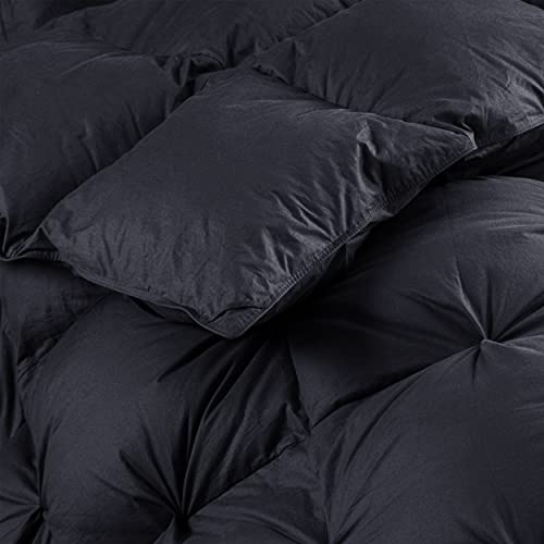 All-Season Down Alternative Comforter Queen Size Duvet Insert T30604