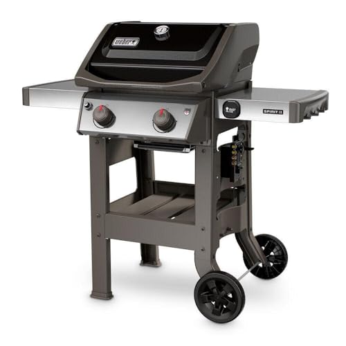 2-Burner Liquid Propane Grill, Black R230