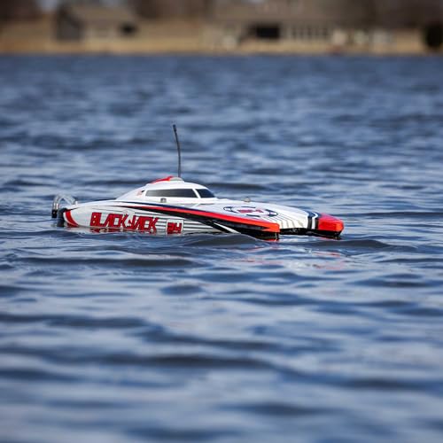 Brushless Catamaran Boat 24" RTR N6983