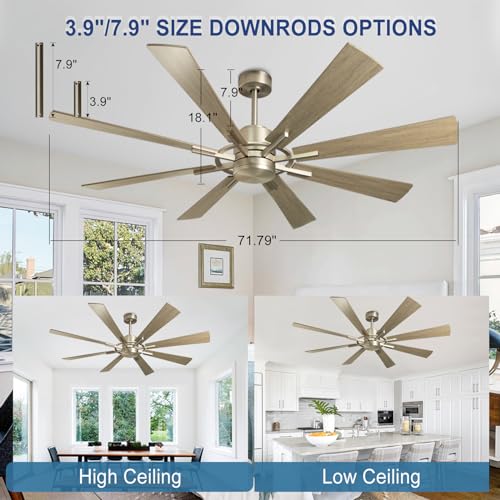 Large Ceiling Fan with Lights 60 Inch, Remote Control, Dimmable LED, Indoor Modern, Black and Gold S954