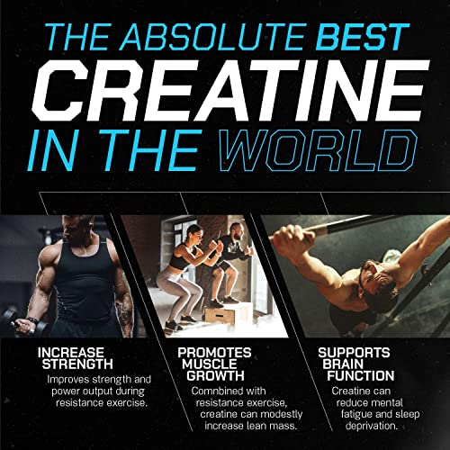 Creatine Monohydrate Powder, Unflavored, 168 Servings W50721