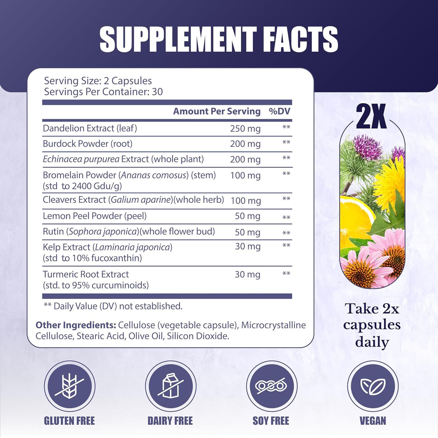 Lymphatic System Supplement with 9 Botanicals, 60 Capsules W16571
