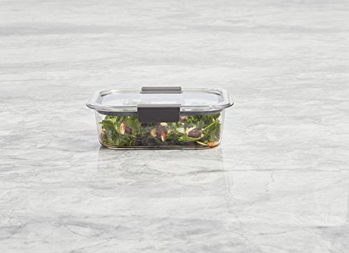 Food Storage Container, Large, 9.6 Cup, Clear (Pack of 2) A48431