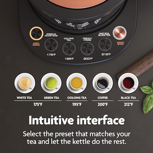 Electric Kettle with Tea Infuser, 1.5 Liters, Midnight Blue M18713