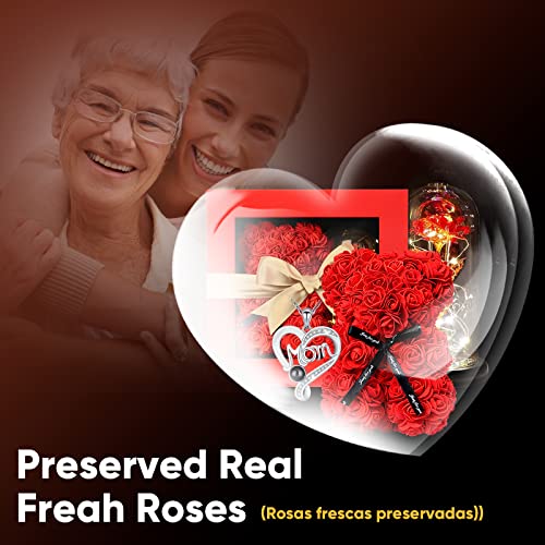 Rose Bear in Glass Dome Gift for Mom Wife Girlfriend O4692