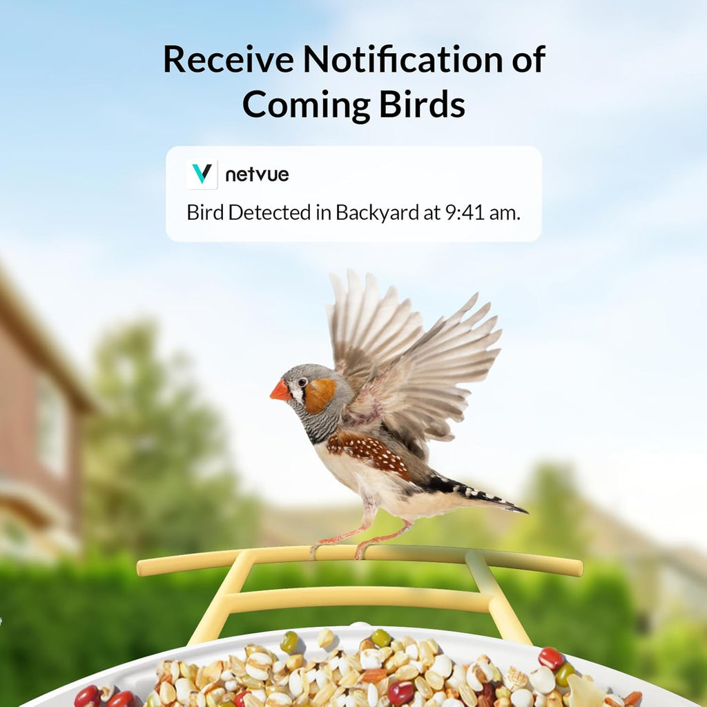 Bird Camera with Solar Panel and Perch X143