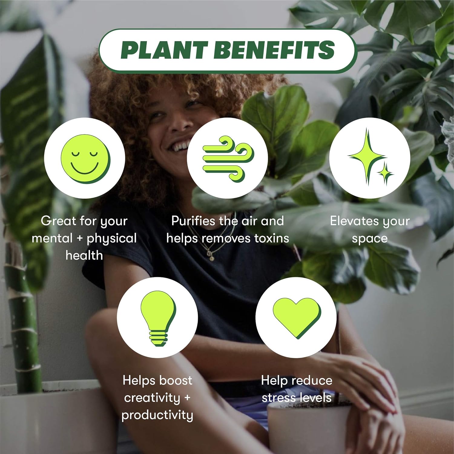 Monstera Dubia Live Indoor Plant, 4 Inch Pot S574447