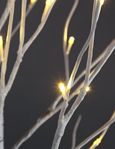 Birch Tree with 48 LED Lights, Warm White, Indoor and Outdoor Y53055