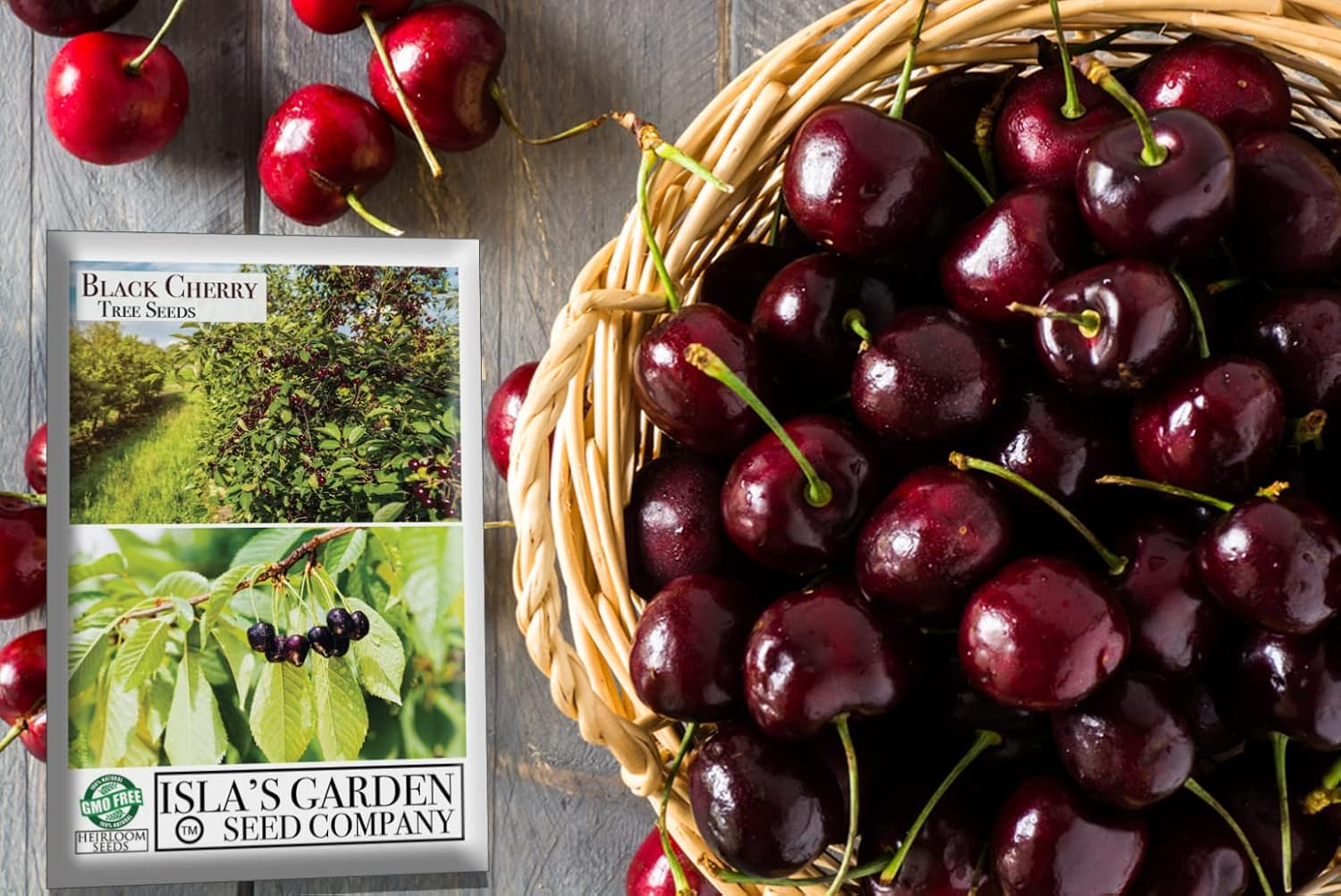 Black Cherry Fruit Tree Seeds for Planting, Non GMO Heirloom, 25+ Seeds J25420