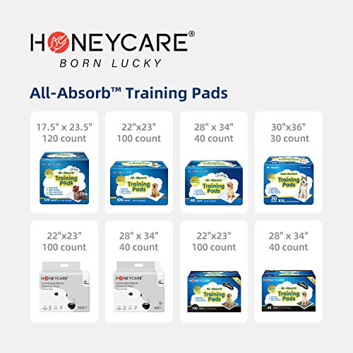 Training Pads, Blue, Large - 22" x 23" 200ct Y476