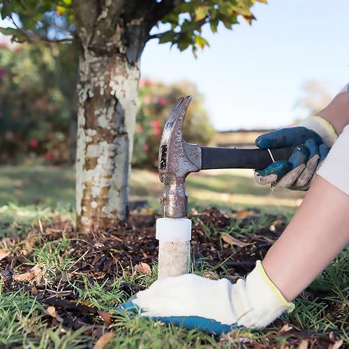 Fertilizer Spikes for Fruit and Citrus Plants and Trees, 160 Count W8774