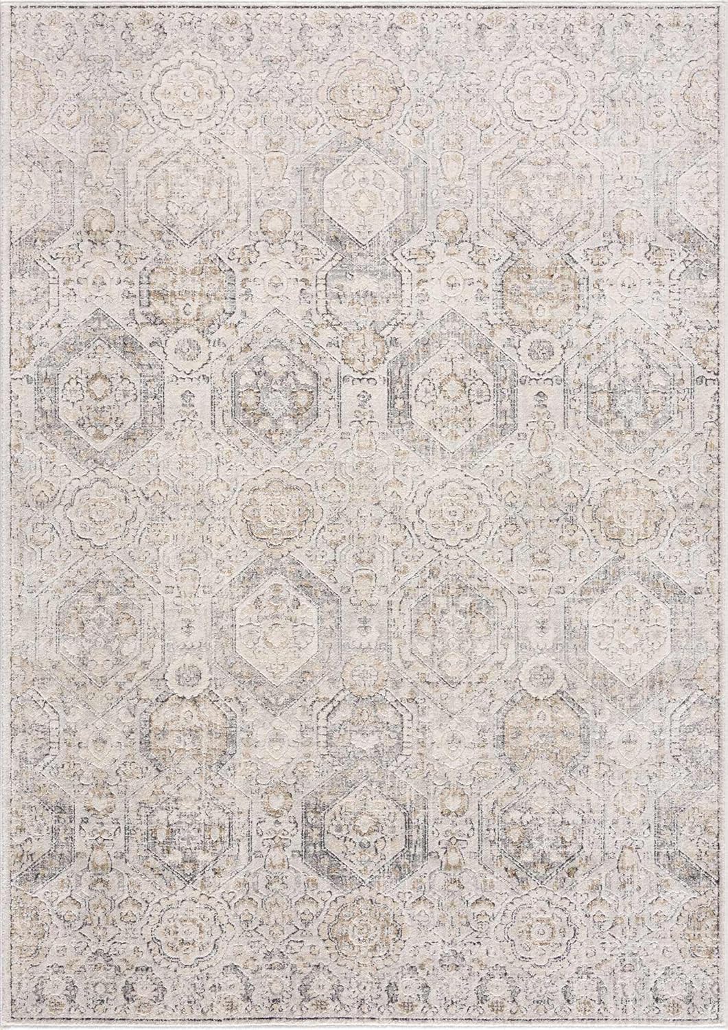 Moroccan Farmhouse Area Rug - Boho Vintage Distressed - Beige Gray Brown Cream H285