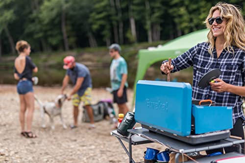 Portable 2-Burner Propane Camping Stove P70525
