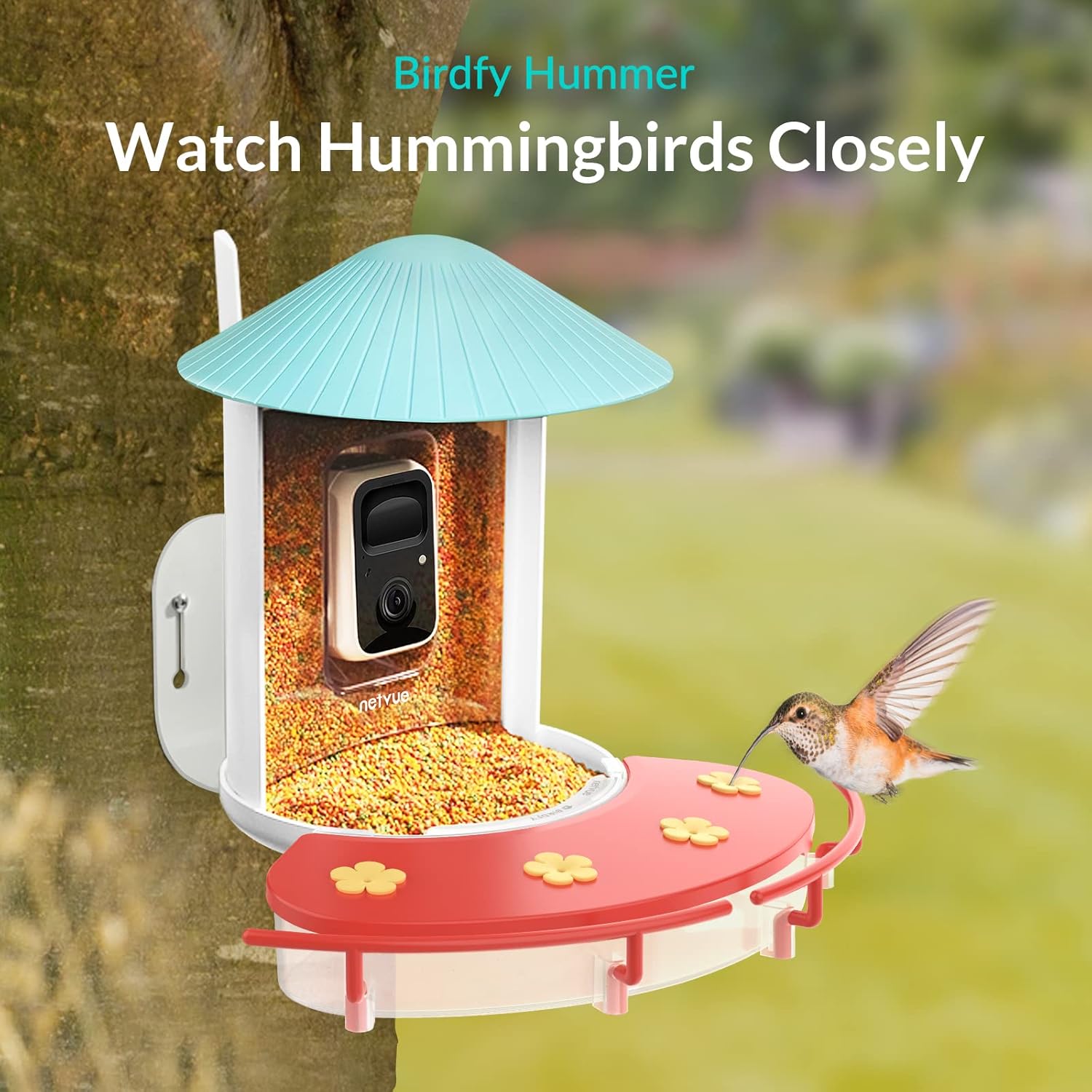 Bird Feeder Camera with Solar Power and Perch Extension S895940