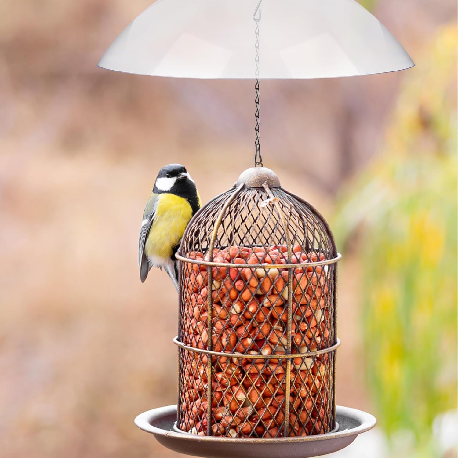 Bird Feeder Protective Dome Cover with Chains for Outdoor Hanging R555