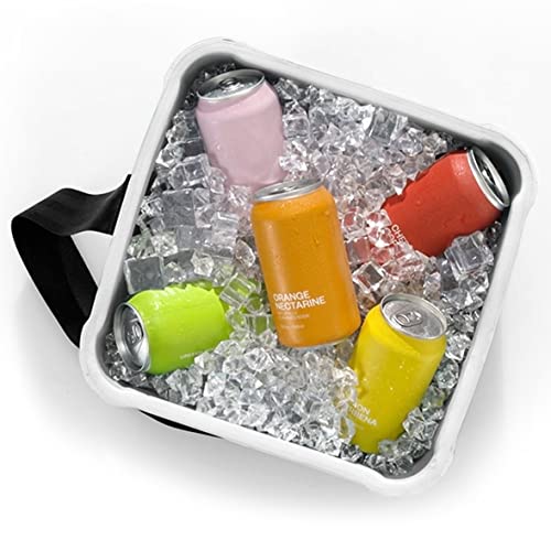 Portable Cooler 30 Can Soft Side Hard Shell Ice Chest E6245