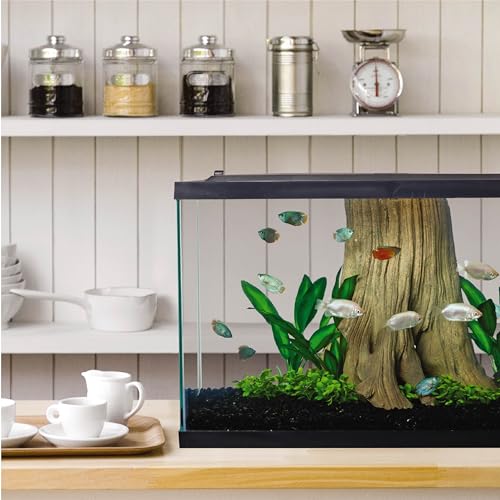 LED Aquarium 29 Gallons with Lighting, Filtration, Heater P905