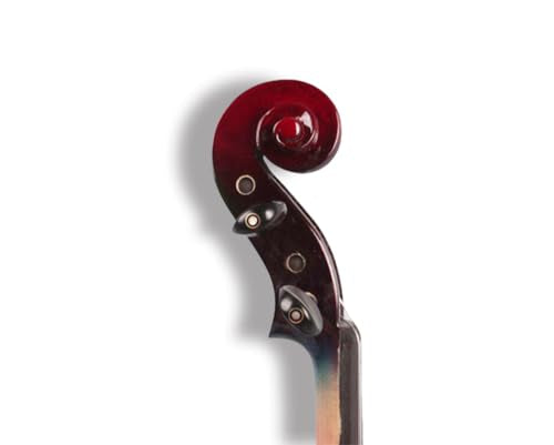 Electric Violin 4/4 Solid Wood with Ebony Fittings, Black D1336