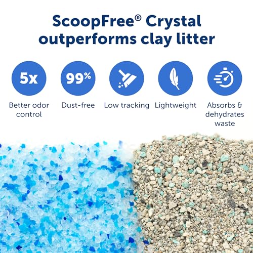 Self-Cleaning Cat Litterbox with Disposable Crystal Tray V42565
