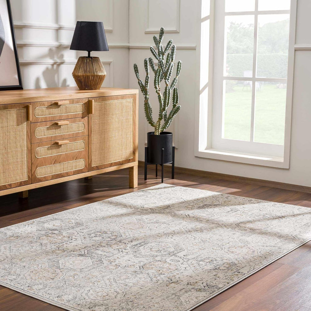 Hauteloom Parkerfield Moroccan Farmhouse Living Room Bedroom Dining Room Area Rug - Bohemian Style - Boho Vintage Distressed - Beige, Gray, Brown, Cream 6'7" x 9'