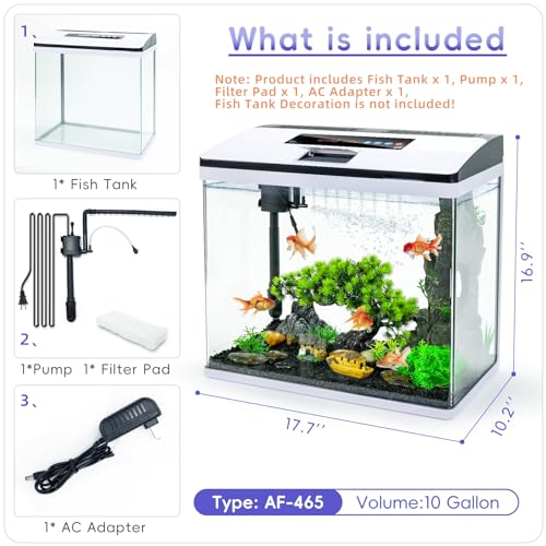 10 Gallon Glass Aquarium Starter Kit with Temperature Display U320828