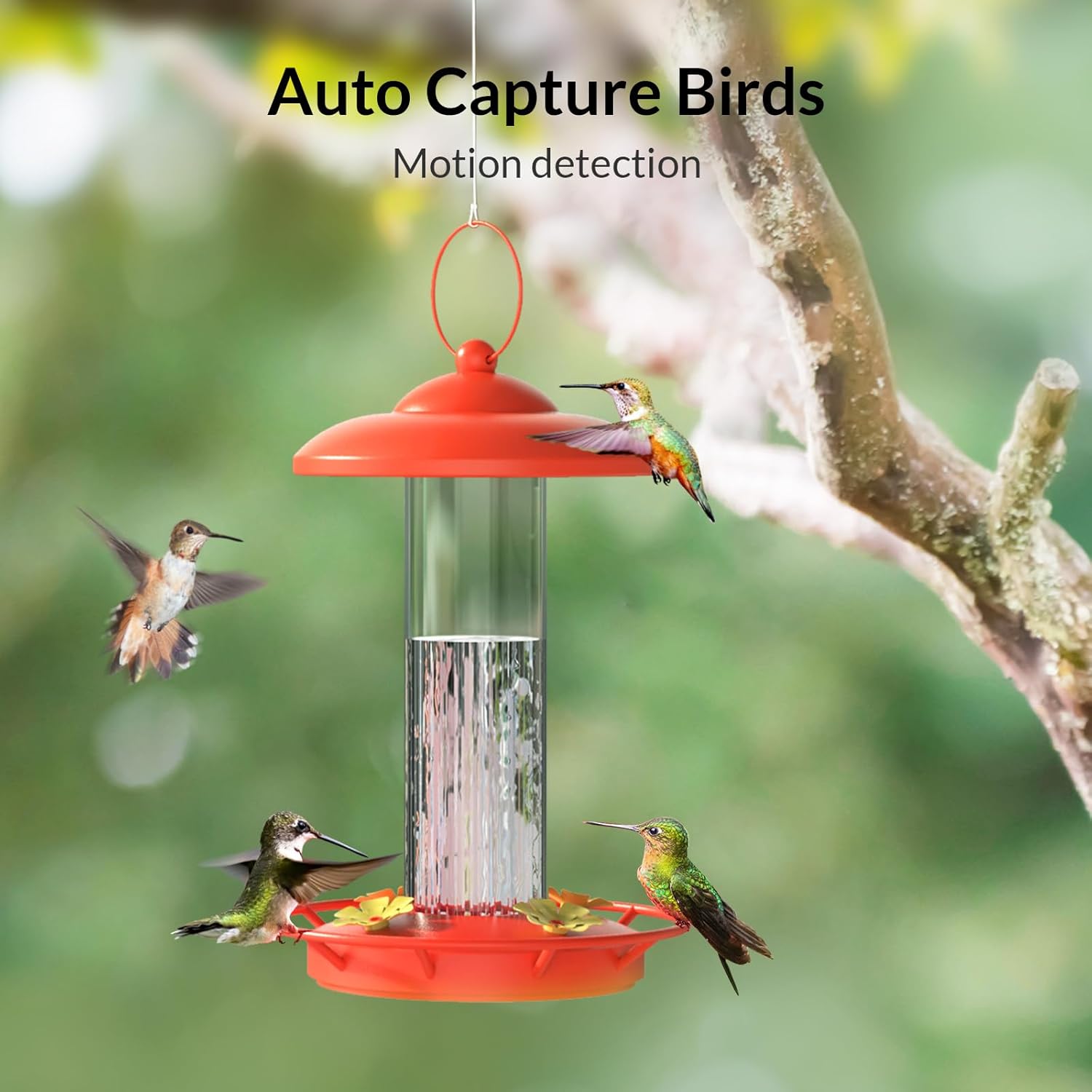 Smart Bird Feeder Camera with Auto Notify and WiFi V475