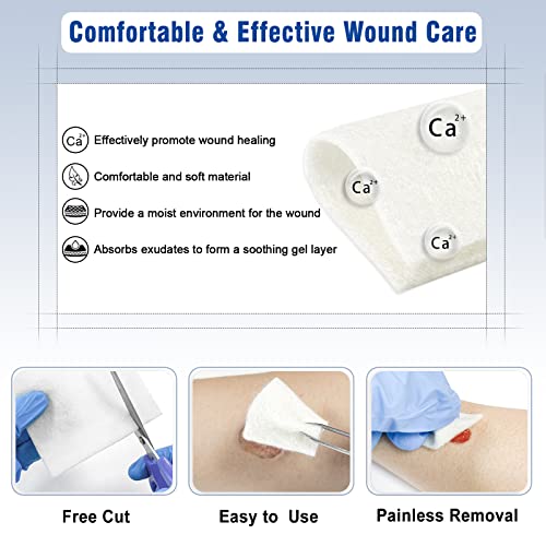 Silver Calcium Alginate Wound Dressing Pads, 4x4, 10 Pack L395