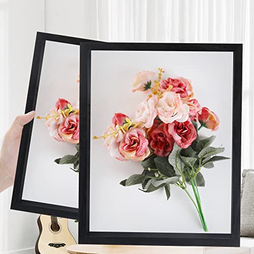 Shadow Box Frame 11x14 Black Wall Display Case L243