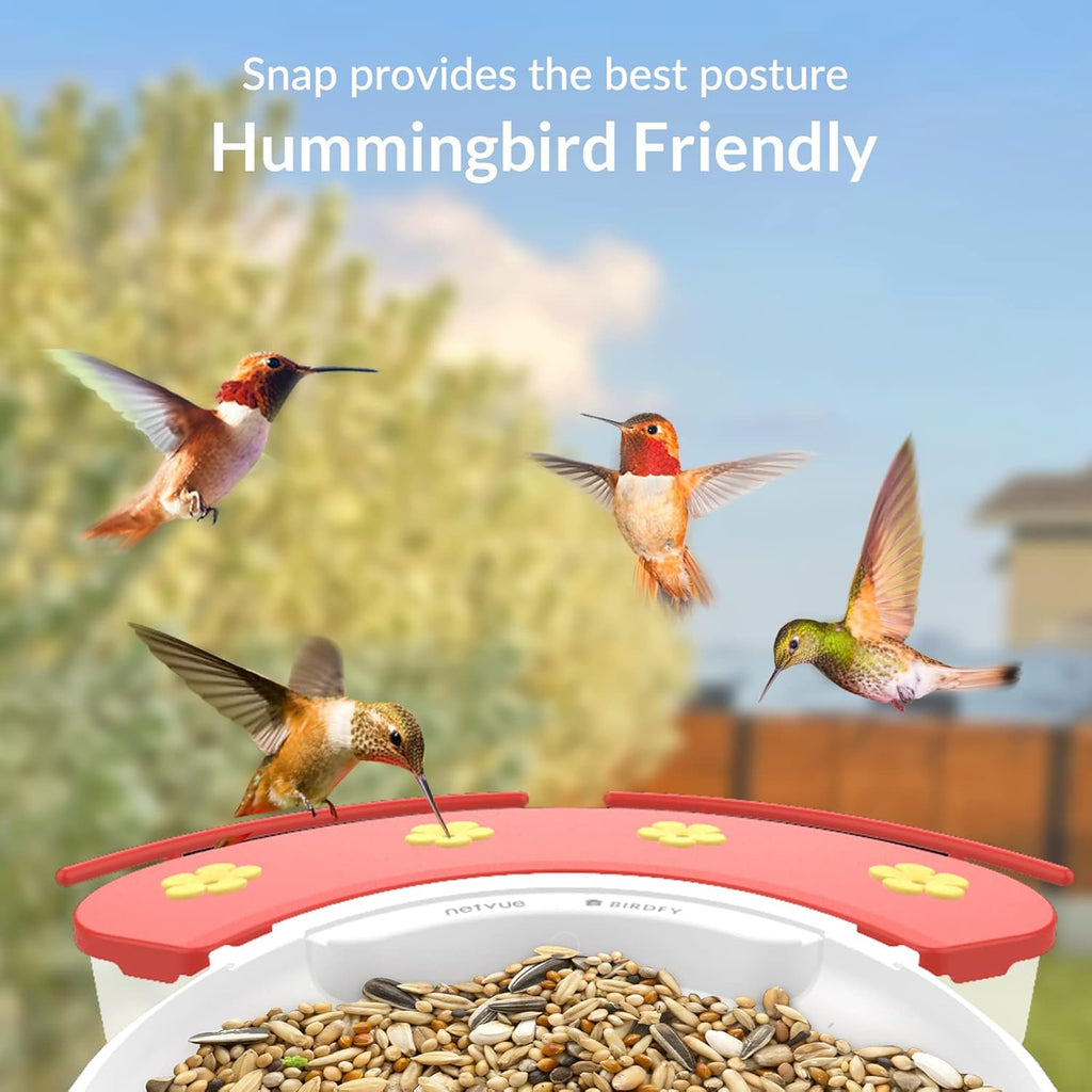 Bird Feeder with Camera and Motion Detection G9511
