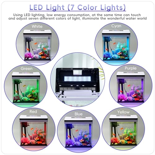 10 Gallon Glass Aquarium Starter Kit with Temperature Display U320828