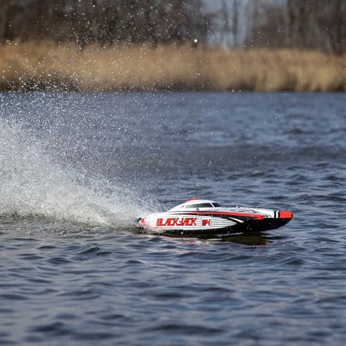 Brushless Catamaran Boat 24" RTR N6983