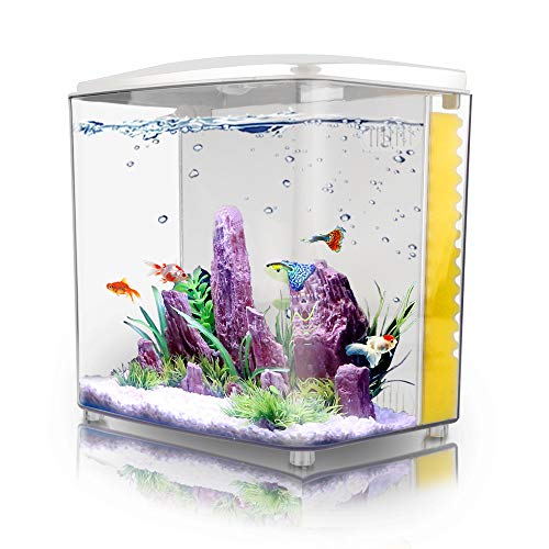 FREESEA 1.2 Gallon Betta Aquarium Starter Kits Square Fish Tank with LED Light and Filter Pump